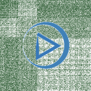 icon-4.5s-317px-1