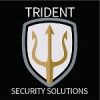 tridentlogo2