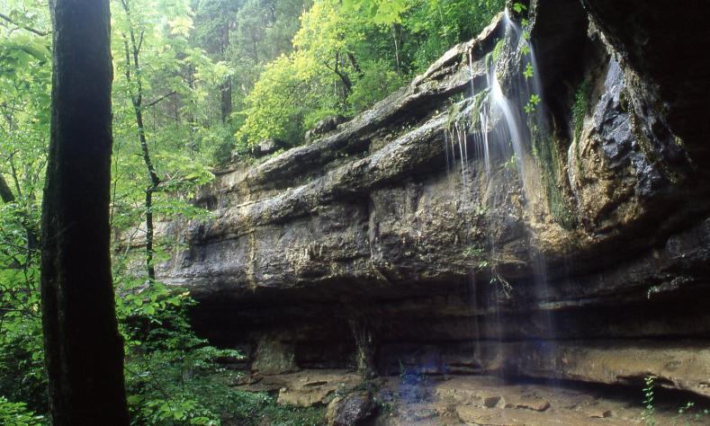Screenshot 2023-10-09 190352 Monte Sano State Park