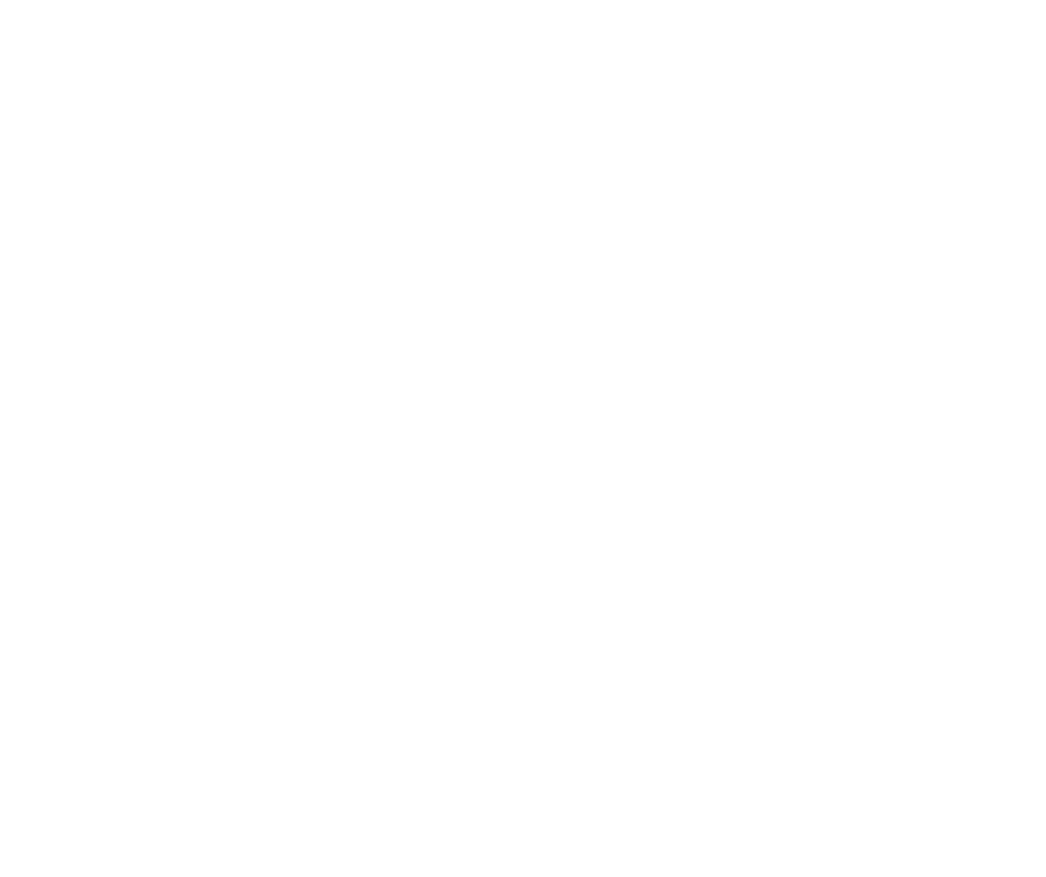Zellus Marketing